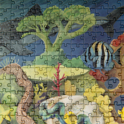 Moulin Roty - Puslespil 1000 brk - Coral Reef - Tout autour du monde