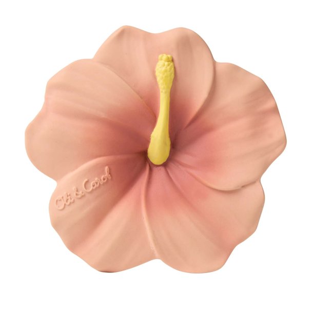 Oli &amp; Carol - Bidering - Iris the Hibiscus