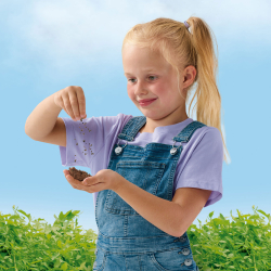 SES Creative - Frøkugler - Sommerfugle