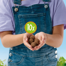 SES Creative - Frøkugler - Sommerfugle