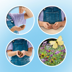 SES Creative - Frøkugler - Sommerfugle