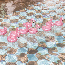 Swim Essentials - Kopholder - Rose Gold Flamingo