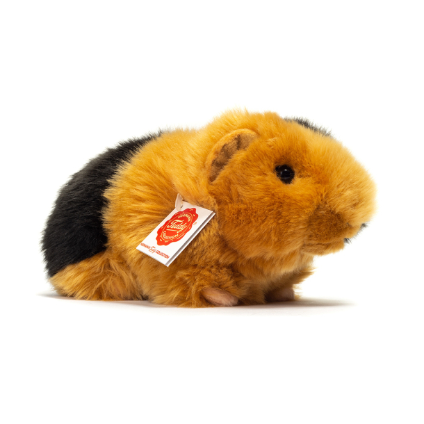 Golden guinea sales pig
