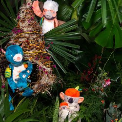 Moulin Roty - Aktivitetst&#248;jdyr m. musikoptr&#230;k - Koalaen Koco