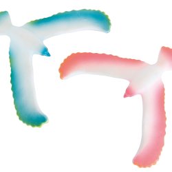 Moulin Roty - Magisk balancefugl - 10 assorterede i display