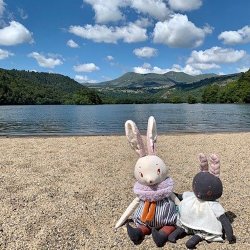 Moulin Roty - T&#248;jdyr - Den lille kanin Plume