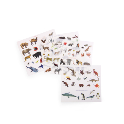 Moulin Roty - Verdenskort med overf&#248;rselsbilleder