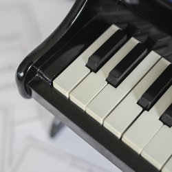 Vilac - Piano - Sort