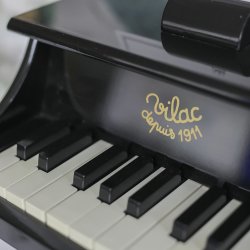 Vilac - Piano - Sort