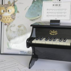 Vilac - Piano - Sort