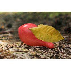 Locomo - Becky - R&#248;d