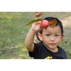 Locomo - Becky - R&#248;d