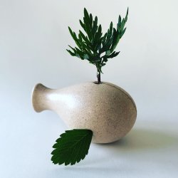 Locomo - Frida - Natur