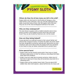 Mudpuppy - Puslespil 300 brk - Pygm&#230;dovendyr - truede arter