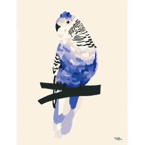 Michelle Carlslund - Plakat - 30 x 40 cm - Blå undulat