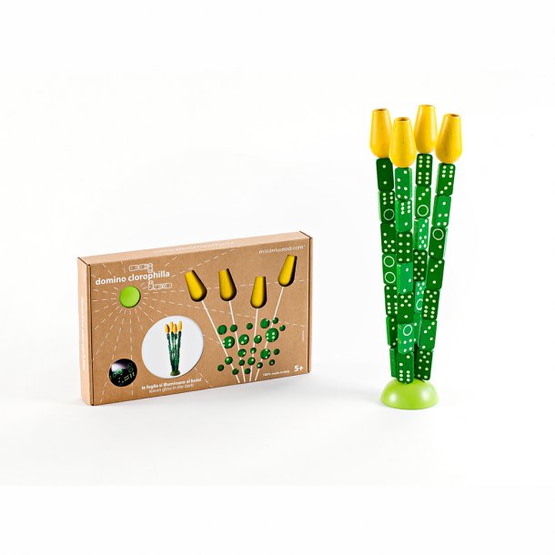 milaniwood - Domino - Tulipaner
