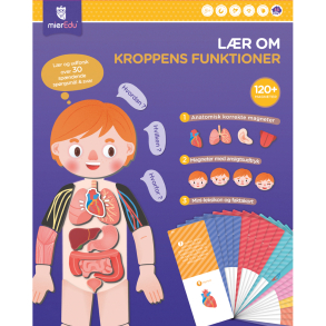 mierEdu - Magnetisk legesæt - Lær om kroppens funktioner