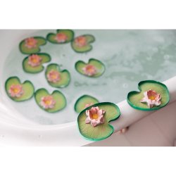 Oli &amp; Carol - Badeleg - &#197;kande