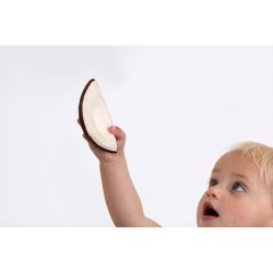 Oli &amp; Carol - Bidering - Coco the Coconut