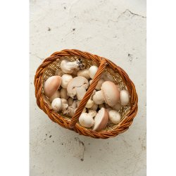 Oli &amp; Carol - Bidering - Manolo the Mushroom