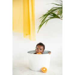 Oli &amp; Carol - Bidering - Clementino the Orange