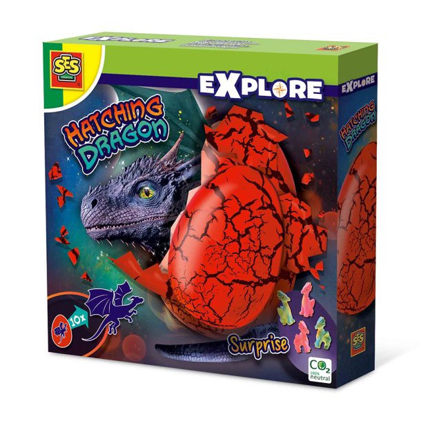 Hatching Dragon Egg